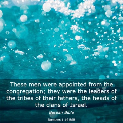 Picture 03 - Numbers 1:16 BSB - These men were appointed from the congregation; - Bible Verse Picture