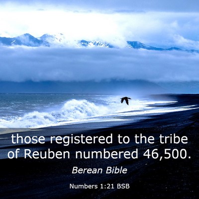 Picture 03 - Numbers 1:21 BSB - those registered to the tribe of Reuben numbered - Bible Verse Picture