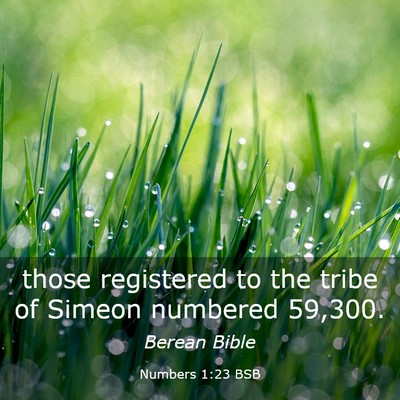 Picture 03 - Numbers 1:23 BSB - those registered to the tribe of Simeon numbered - Bible Verse Picture