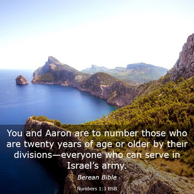 Picture 03 - Numbers 1:3 BSB - You and Aaron are to number those who are twenty - Bible Verse Picture