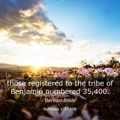 Picture 03 - Numbers 1:37 BSB - those registered to the tribe of Benjamin - Bible Verse Picture