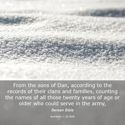 Picture 03 - Numbers 1:38 BSB - From the sons of Dan, according to the records of - Bible Verse Picture
