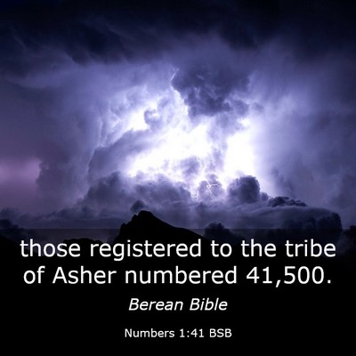 Picture 03 - Numbers 1:41 BSB - those registered to the tribe of Asher numbered - Bible Verse Picture