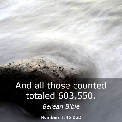 Picture 03 - Numbers 1:46 BSB - And all those counted totaled - Bible Verse Picture