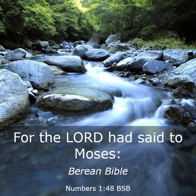 Picture 03 - Numbers 1:48 BSB - For the LORD had said to - Bible Verse Picture