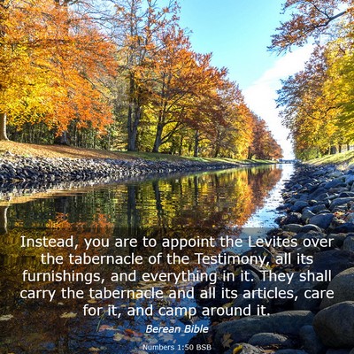 Picture 03 - Numbers 1:50 BSB - Instead, you are to appoint the Levites over the - Bible Verse Picture