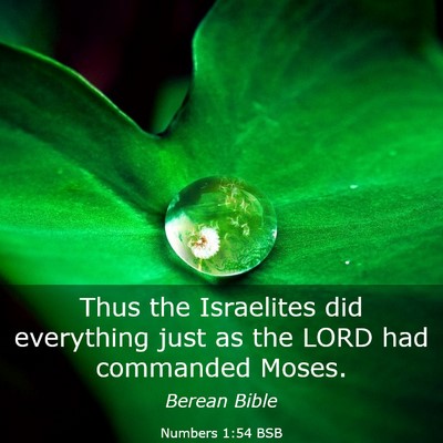 Picture 03 - Numbers 1:54 BSB - Thus the Israelites did everything just as the - Bible Verse Picture