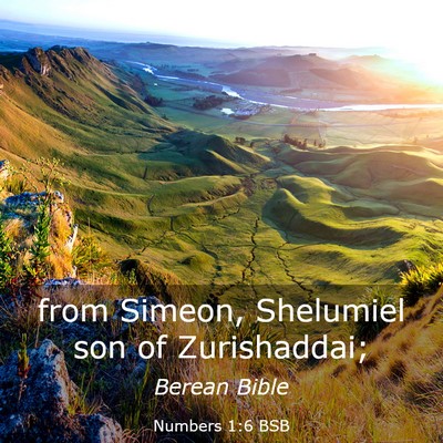 Picture 03 - Numbers 1:6 BSB - from Simeon, Shelumiel son of - Bible Verse Picture