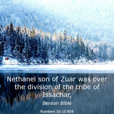 Picture 03 - Numbers 10:15 BSB - Nethanel son of Zuar was over the division of the - Bible Verse Picture