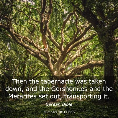 Picture 03 - Numbers 10:17 BSB - Then the tabernacle was taken down, and the - Bible Verse Picture