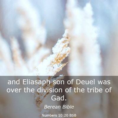 Picture 03 - Numbers 10:20 BSB - and Eliasaph son of Deuel was over the division - Bible Verse Picture