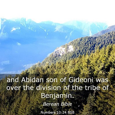 Picture 03 - Numbers 10:24 BSB - and Abidan son of Gideoni was over the division - Bible Verse Picture