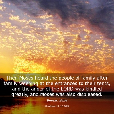 Picture 03 - Numbers 11:10 BSB - Then Moses heard the people of family after - Bible Verse Picture