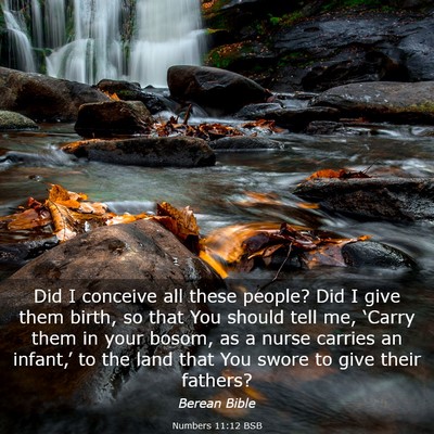 Picture 03 - Numbers 11:12 BSB - Did I conceive all these people? Did I give them - Bible Verse Picture