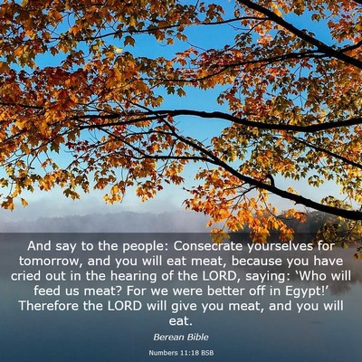 Picture 03 - Numbers 11:18 BSB - And say to the people: Consecrate yourselves for - Bible Verse Picture