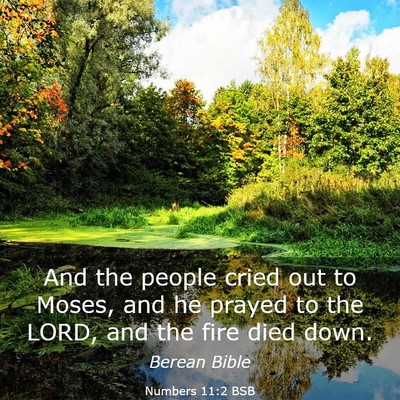Picture 03 - Numbers 11:2 BSB - And the people cried out to Moses, and he prayed - Bible Verse Picture