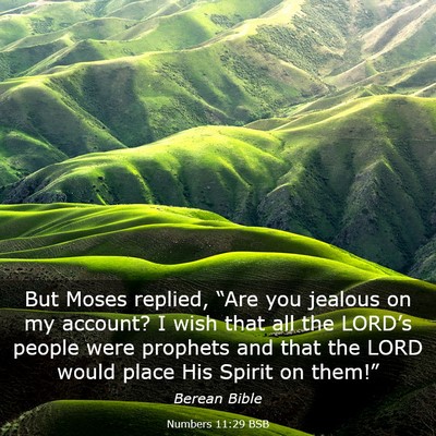 Picture 03 - Numbers 11:29 BSB - But Moses replied, “Are you jealous on my - Bible Verse Picture