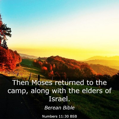 Picture 03 - Numbers 11:30 BSB - Then Moses returned to the camp, along with the - Bible Verse Picture
