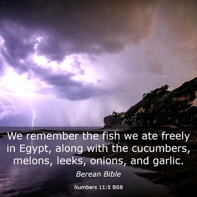Picture 03 - Numbers 11:5 BSB - We remember the fish we ate freely in Egypt, - Bible Verse Picture