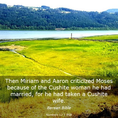 Picture 03 - Numbers 12:1 BSB - Then Miriam and Aaron criticized Moses because of - Bible Verse Picture