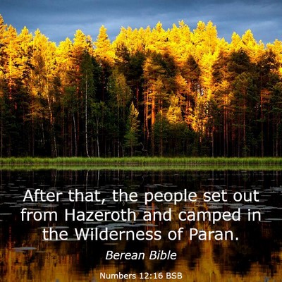 Picture 03 - Numbers 12:16 BSB - After that, the people set out from Hazeroth and - Bible Verse Picture