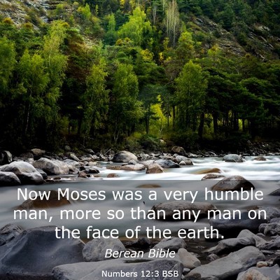 Picture 03 - Numbers 12:3 BSB - Now Moses was a very humble man, more so than any - Bible Verse Picture