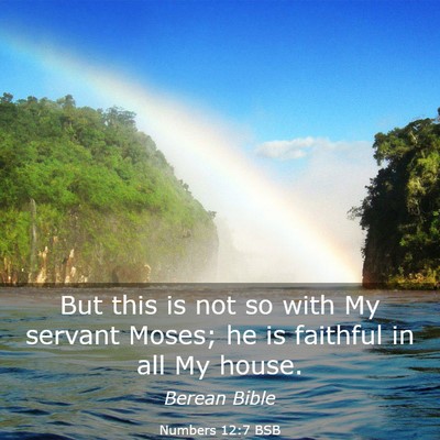 Picture 03 - Numbers 12:7 BSB - But this is not so with My servant Moses; he is - Bible Verse Picture