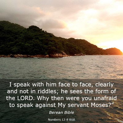 Picture 03 - Numbers 12:8 BSB - I speak with him face to face, clearly and not in - Bible Verse Picture