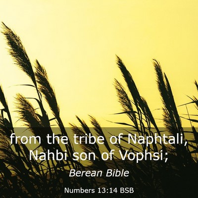Picture 03 - Numbers 13:14 BSB - from the tribe of Naphtali, Nahbi son of - Bible Verse Picture