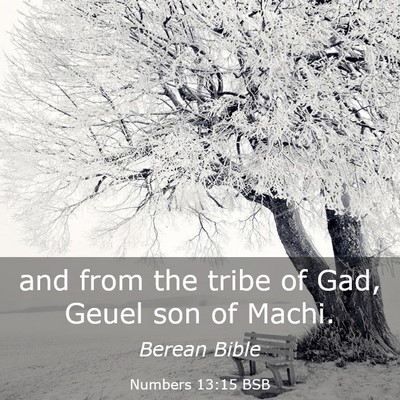 Picture 03 - Numbers 13:15 BSB - and from the tribe of Gad, Geuel son of - Bible Verse Picture