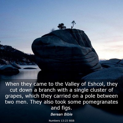 Picture 03 - Numbers 13:23 BSB - When they came to the Valley of Eshcol, they cut - Bible Verse Picture