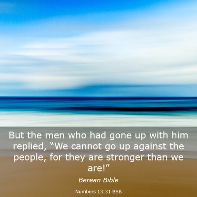 Picture 03 - Numbers 13:31 BSB - But the men who had gone up with him replied, - Bible Verse Picture