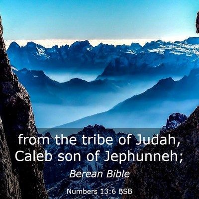 Picture 03 - Numbers 13:6 BSB - from the tribe of Judah, Caleb son of - Bible Verse Picture