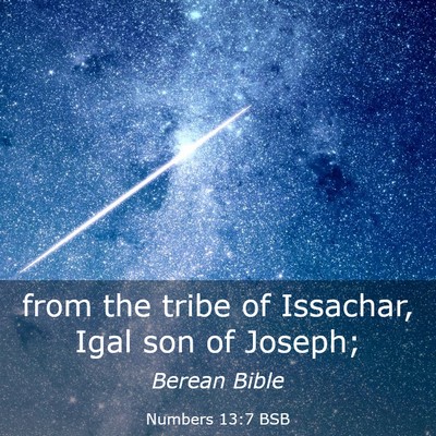 Picture 03 - Numbers 13:7 BSB - from the tribe of Issachar, Igal son of - Bible Verse Picture