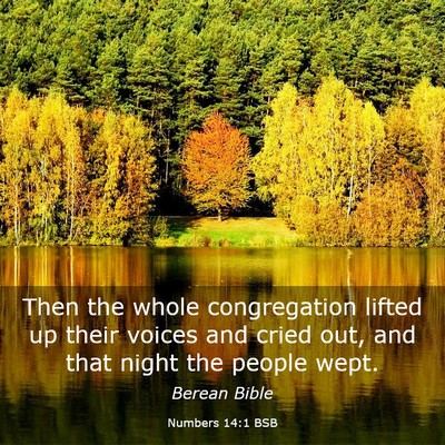 Picture 03 - Numbers 14:1 BSB - Then the whole congregation lifted up their - Bible Verse Picture