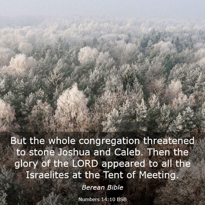 Picture 03 - Numbers 14:10 BSB - But the whole congregation threatened to stone - Bible Verse Picture