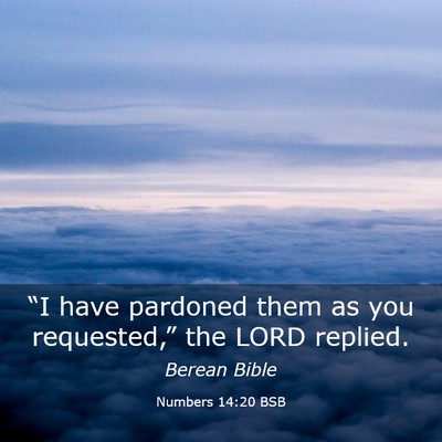Picture 03 - Numbers 14:20 BSB - “I have pardoned them as you requested,” the - Bible Verse Picture