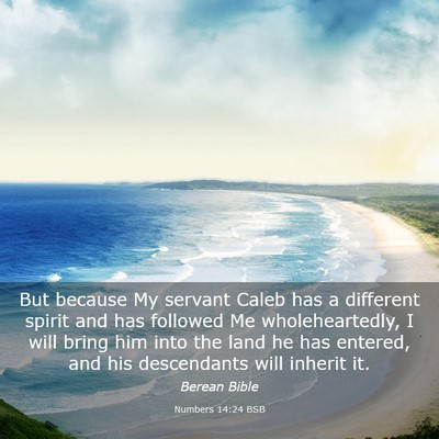 Picture 03 - Numbers 14:24 BSB - But because My servant Caleb has a different - Bible Verse Picture