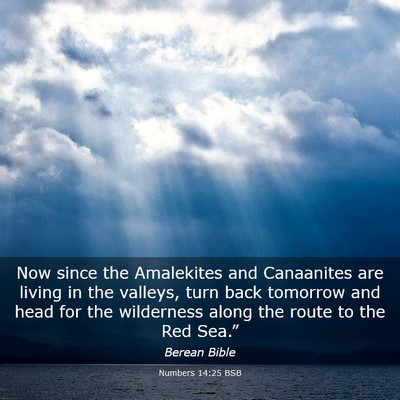 Picture 03 - Numbers 14:25 BSB - Now since the Amalekites and Canaanites are - Bible Verse Picture
