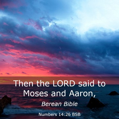 Picture 03 - Numbers 14:26 BSB - Then the LORD said to Moses and - Bible Verse Picture