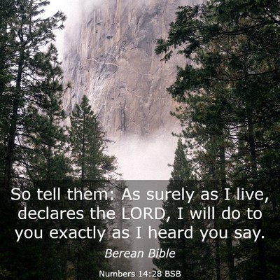 Picture 03 - Numbers 14:28 BSB - So tell them: As surely as I live, declares the - Bible Verse Picture