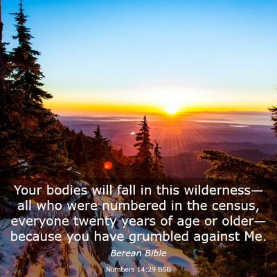 Picture 03 - Numbers 14:29 BSB - Your bodies will fall in this wilderness—all - Bible Verse Picture