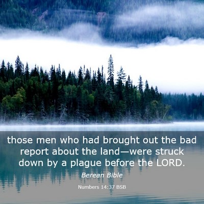 Picture 03 - Numbers 14:37 BSB - those men who had brought out the bad report - Bible Verse Picture