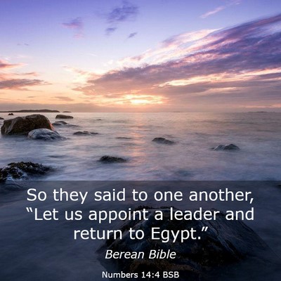 Picture 03 - Numbers 14:4 BSB - So they said to one another, “Let us appoint a - Bible Verse Picture
