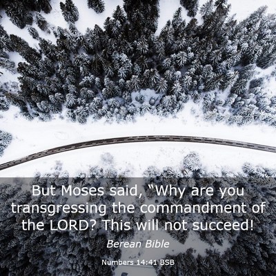 Picture 03 - Numbers 14:41 BSB - But Moses said, “Why are you transgressing the - Bible Verse Picture