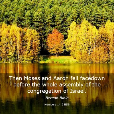Picture 03 - Numbers 14:5 BSB - Then Moses and Aaron fell facedown before the - Bible Verse Picture