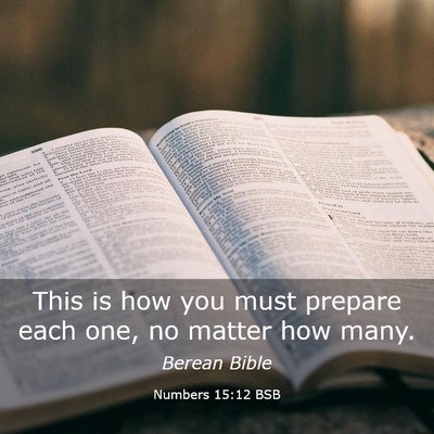 Picture 03 - Numbers 15:12 BSB - This is how you must prepare each one, no matter - Bible Verse Picture