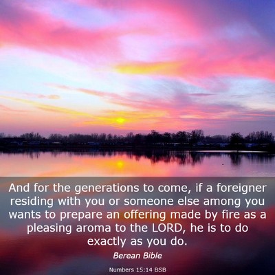 Picture 03 - Numbers 15:14 BSB - And for the generations to come, if a foreigner - Bible Verse Picture