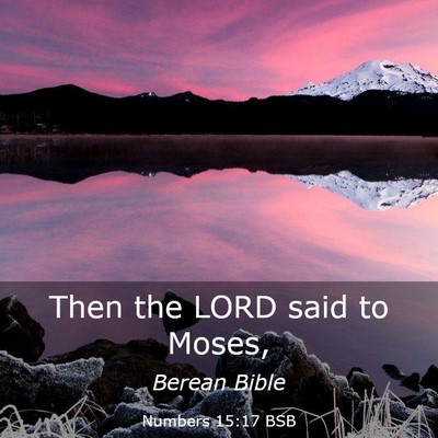 Picture 03 - Numbers 15:17 BSB - Then the LORD said to - Bible Verse Picture