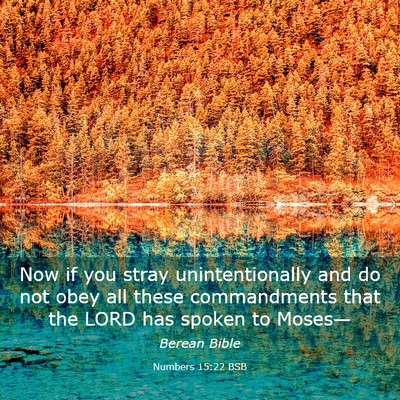Picture 03 - Numbers 15:22 BSB - Now if you stray unintentionally and do not obey - Bible Verse Picture